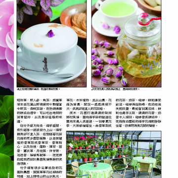 臺北畫刊第530期_23
