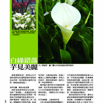 臺北畫刊第530期_57