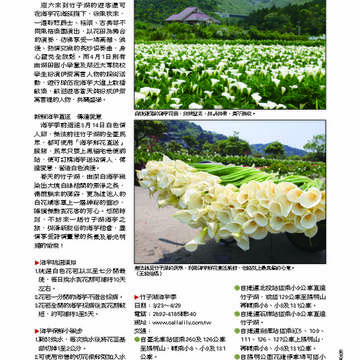臺北畫刊第530期_58