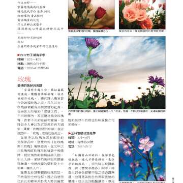 臺北畫刊第530期_18