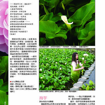 臺北畫刊第530期_17