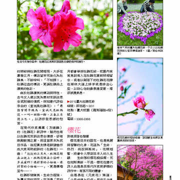 臺北畫刊第530期_16