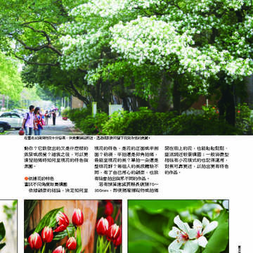 臺北畫刊第530期_26