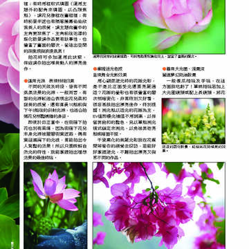 臺北畫刊第530期_27