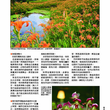 臺北畫刊第530期_30