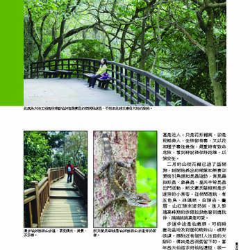 臺北畫刊第530期_32