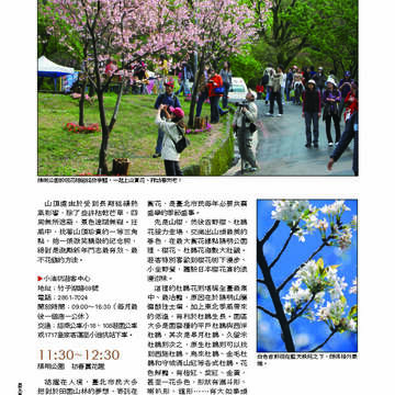 臺北畫刊第529期_31