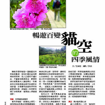 臺北畫刊第529期_35