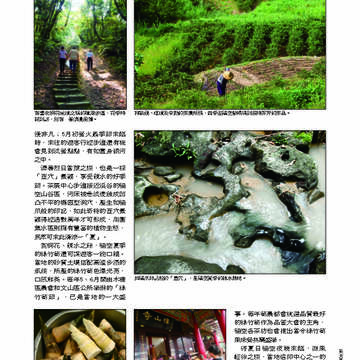 臺北畫刊第529期_36