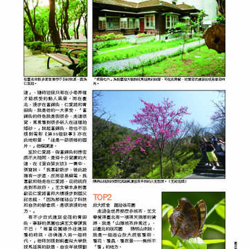 臺北畫刊第529期_40