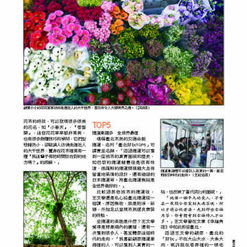 臺北畫刊第529期_42
