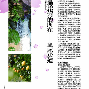 臺北畫刊第529期_45