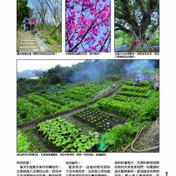 臺北畫刊第529期_46