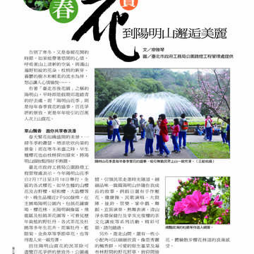 臺北畫刊第529期_59