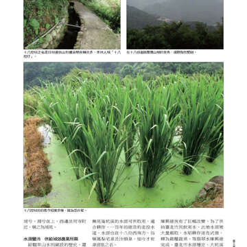 臺北畫刊527期_37