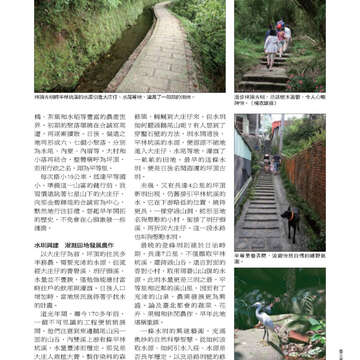 臺北畫刊527期_39