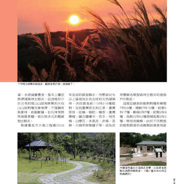 臺北畫刊第525期-33