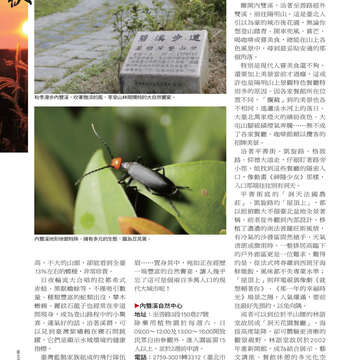 臺北畫刊第525期-34