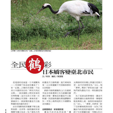 臺北畫刊第525期-56