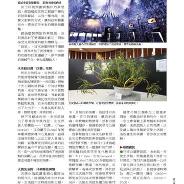 臺北畫刊524-53