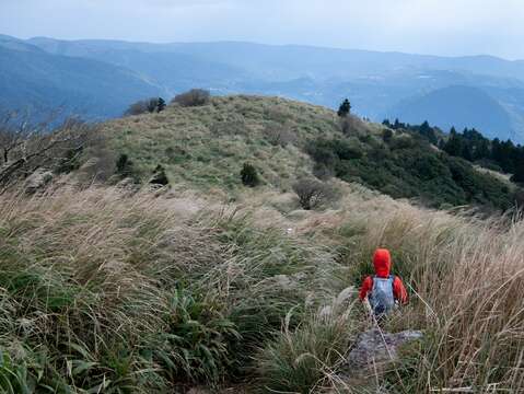 臺北大縱走第二段-大屯山(圖片來源：臺北市政府工務局大地工程處)
