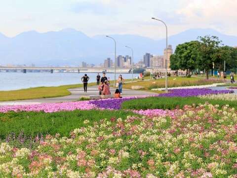 The Yanping Riverside Flower Sea's flower-watching season extends until Christmas this year.