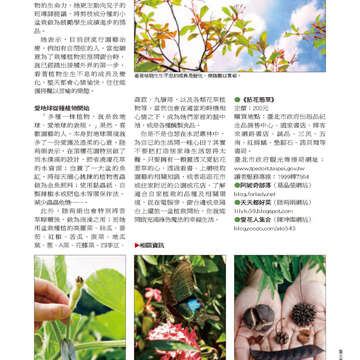 臺北畫刊22-25.jpg
