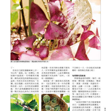 臺北畫刊22-23.jpg