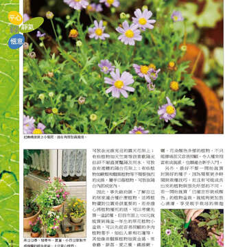 臺北畫刊22-22.jpg