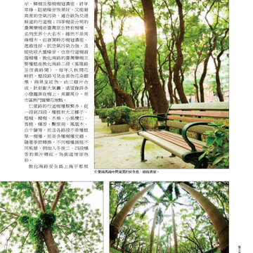 臺北畫刊22-17.jpg