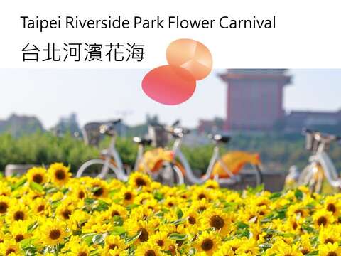 사계절 꽃놀이! 2024 <화in타이베이>, 브랜드AR 성탄트리 스스난춘 입성