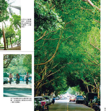 臺北畫刊22-15.jpg