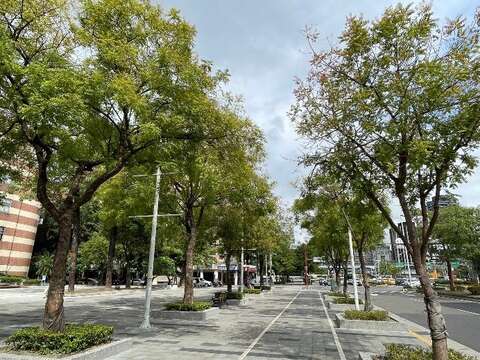林蔭大道黃連木黃橘紅葉浪漫(圖片來源：臺北市政府工務局公園路燈工程管理處)