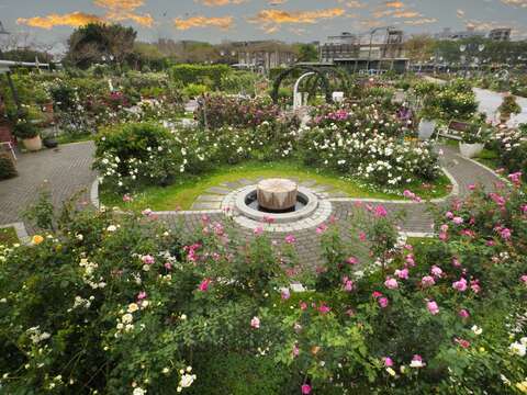 2024 Taipei Rose Festival