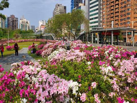2024 Taipei Azalea Festival