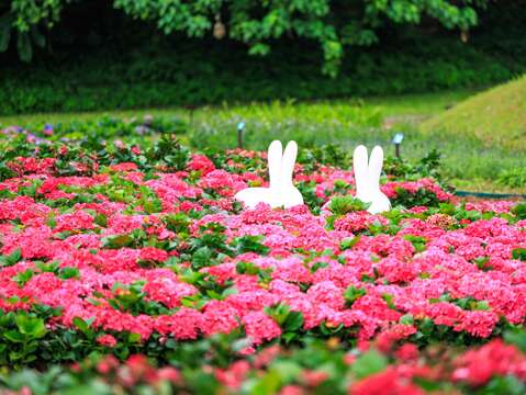 可愛的兔兔造景 加上滿滿的花景超好拍(圖片來源：臺北市政府工務局水利工程處)