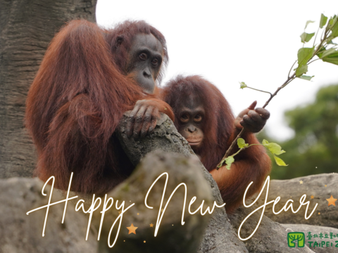 HappyNewYear2024TZ(圖片來源：臺北市立動物園)