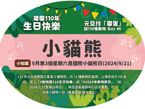 大家可以到動物活動場前尋找彩蛋卡牌_小貓熊(圖片來源：臺北市立動物園)