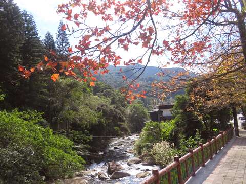 至善路三段楓紅染山溪(圖片來源：臺北市政府工務局公園路燈工程管理處)