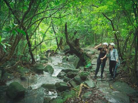 從陽明山擎天崗健行至魚路古道，沿途可欣賞草原、山林及瀑布等自然景觀。