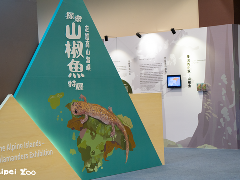 探索山椒魚，走進高山島嶼(圖片來源：臺北市立動物園)