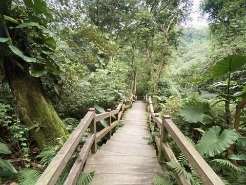 富陽自然生態公園木棧道景色(圖片來源：臺北市政府工務局公園路燈工程管理處)