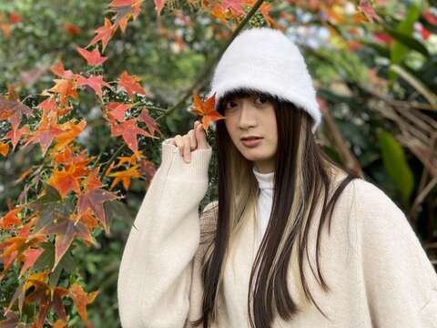 一月份的楓紅美景(圖片來源：臺北市政府工務局大地工程處)
