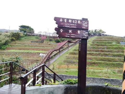 稻浪棧橋延伸步徑指示牌(圖片來源：臺北市政府工務局大地工程處)