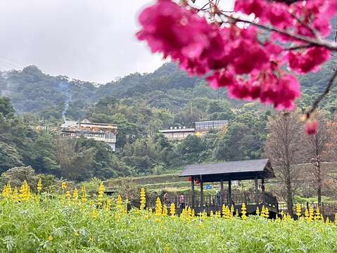 樟樹步道-彩雲亭(圖片來源：臺北市政府工務局大地工程處)