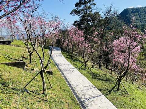 祈福山徑(圖片來源：臺北市政府工務局大地工程處)