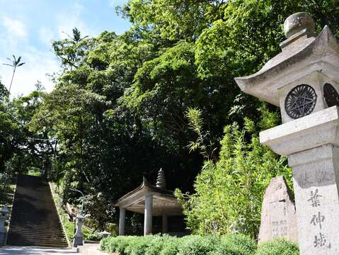 竹柏參道(圖片來源：臺北市政府工務局大地工程處)