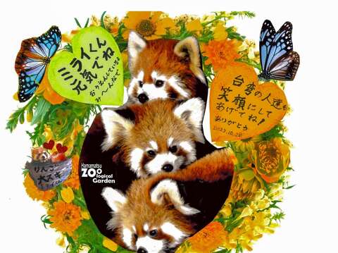 喜歡小貓熊「未來」的日本朋友給臺北動物園的祝福卡片(圖片來源：臺北市立動物園)