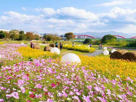 The Guting Riverside Sea of Flowers in full bloom until late February