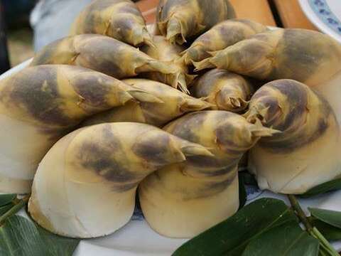 2016文山茶筍節系列活動